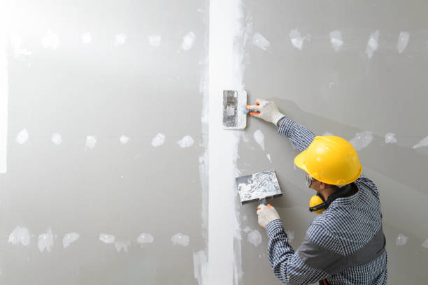 Mold Remediation for Vacation Homes in Crowley, LA